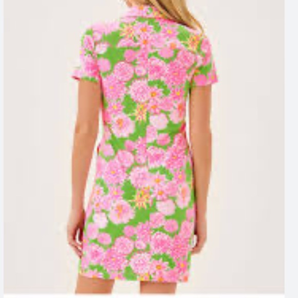 Lilly Pulitzer Mandi ChillyLilly Sea Garden Dress - Picture 3 of 7